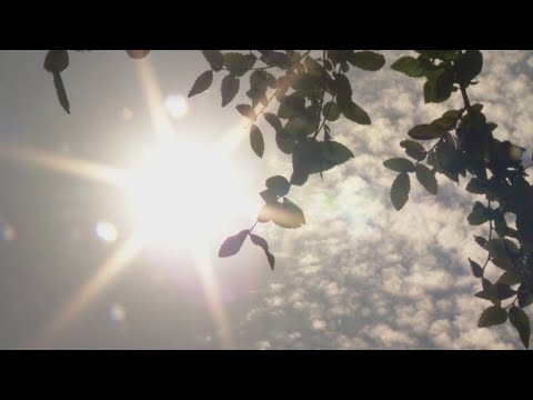 KENS 5 coverage of San Antonio's hottest locations